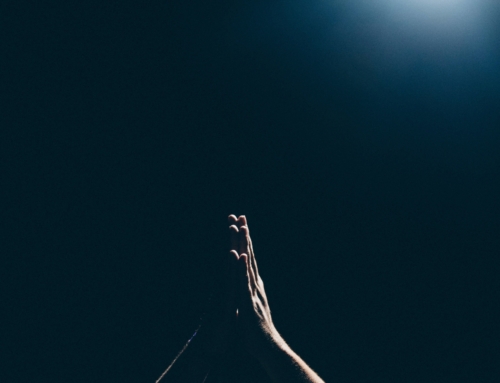 Archbishops of Canterbury and York call for prayer